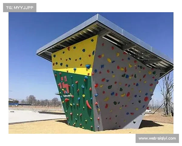 江苏省试点将攀岩引入校园 计划在百所中小学建设5米迷你岩壁